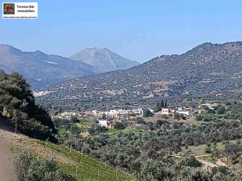 Kalochorafitis Kreta, Kalochorafiti: Landwirtschaftliches Grundstück mit 170 Olivenbäumen Grundstück kaufen